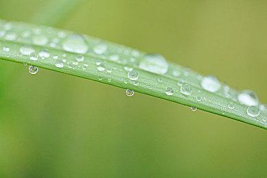 《暗黑破坏神4》PC主机版画面性能对比 全平台优化好